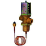 Válvula presostática de Agua JOHNSON CONTROLS 1 1/4" V46AE-9512