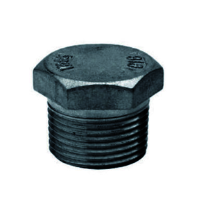 Tapón Inox 316L rosca 2" M